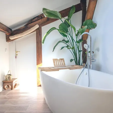Luxury Floor Duplex Near Le Marais アパート