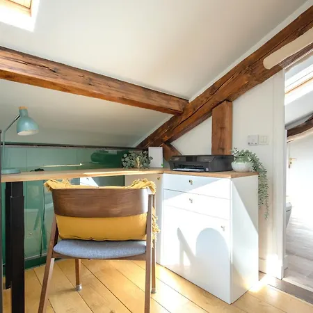 Luxury Floor Duplex Near Le Marais Apartment